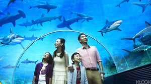 S.E.A. Aquarium™ One-Day Ticket - BYKidO