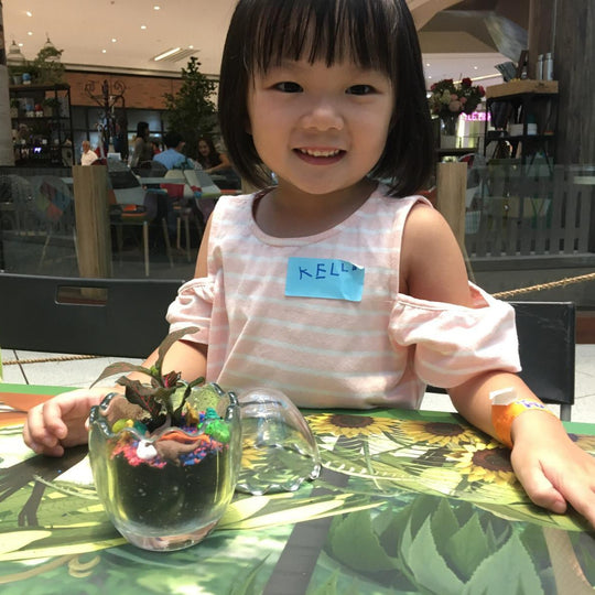 EPIC Workshops: Angled Open Terrarium Experience Kit @$36 - BYKidO