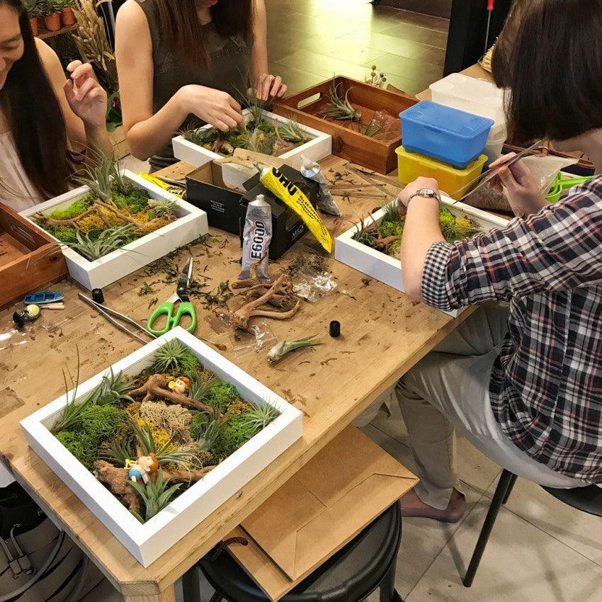 air plant workshop The Green Capsule: Airplant Greenwall Workshop From Just $40 – BYKidO