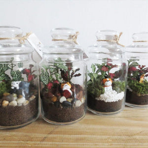 The Green Capsule: Close Terrarium Workshop From Just $15 - BYKidO