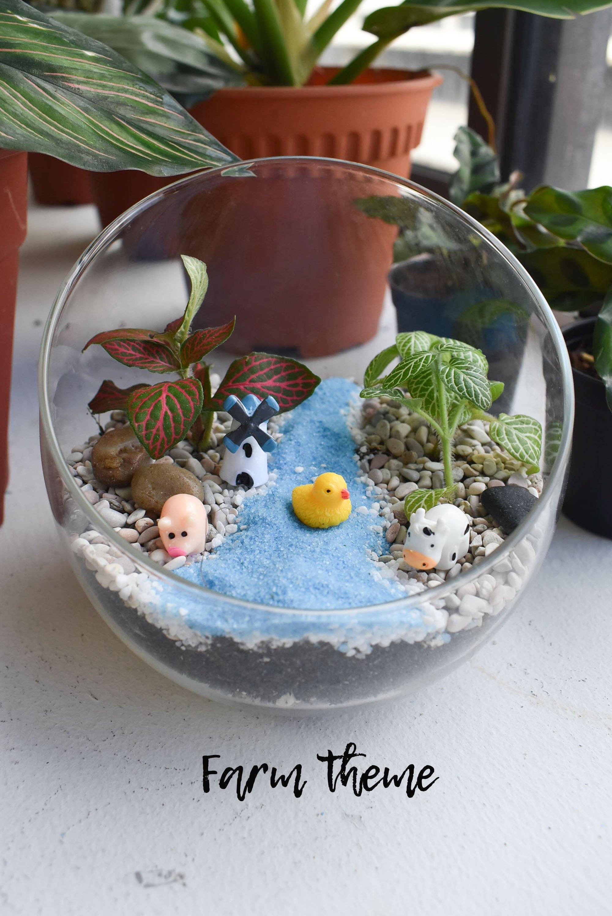 Fittonia Terrarium DIY Kit @ $37 (Delivery Included) - BYKidO