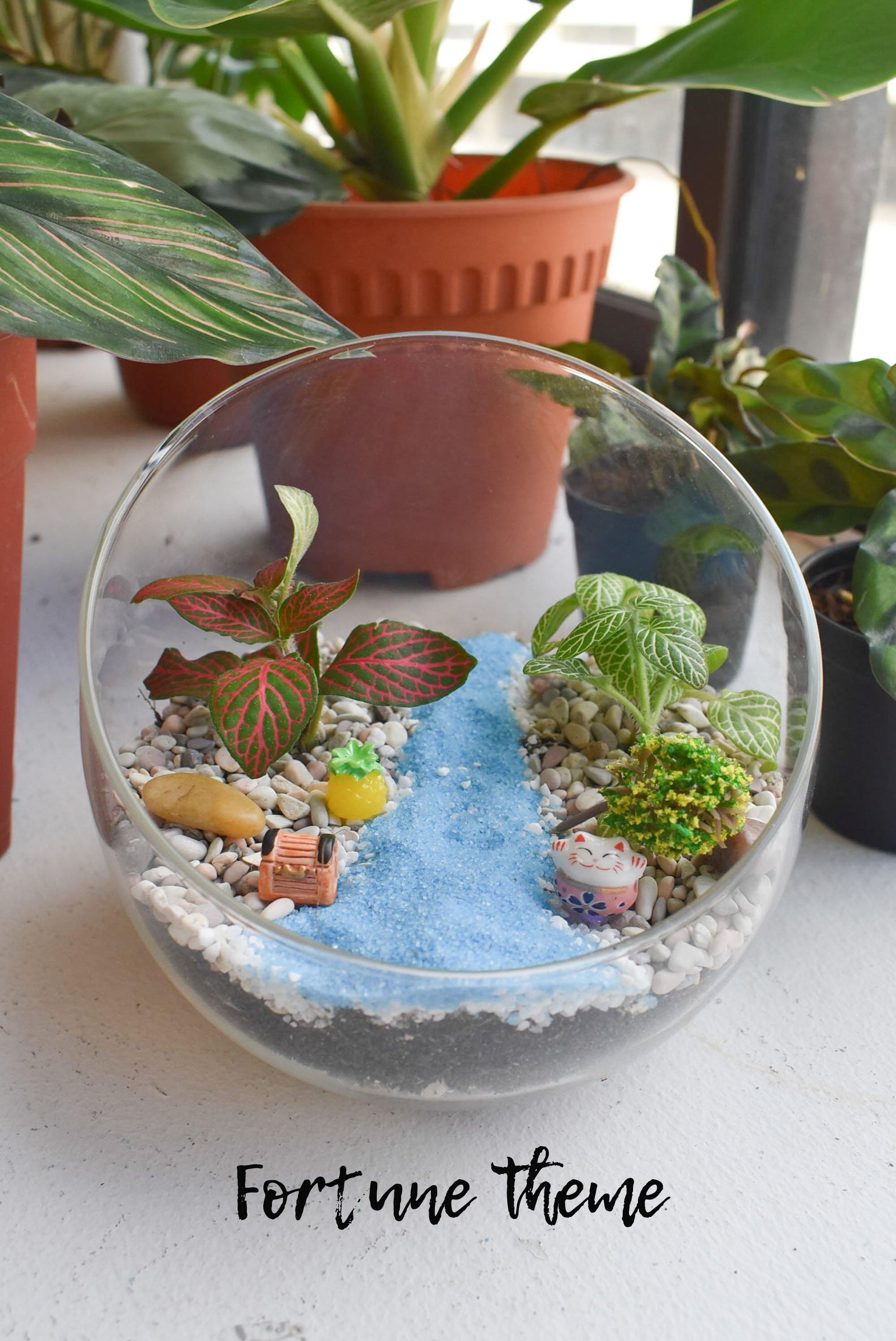 Fittonia Terrarium DIY Kit @ $37 (Delivery Included) - BYKidO