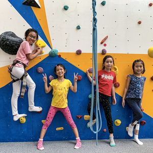 Birthday Party Package at Upwall Climbing