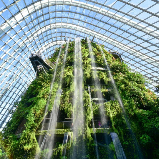 Gardens by the Bay Admission Ticket - Compare Best Prices Here - BYKidO