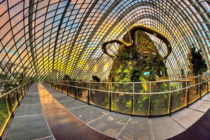 Gardens by the Bay Admission Ticket - Compare Best Prices Here