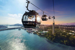 Singapore Cable Car Sky Pass Tickets - BYKidO