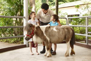 Singapore Zoo Tickets - Compare Best Prices Here! - BYKidO
