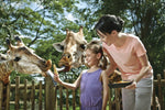 Singapore Zoo Tickets - Compare Best Prices Here! - BYKidO
