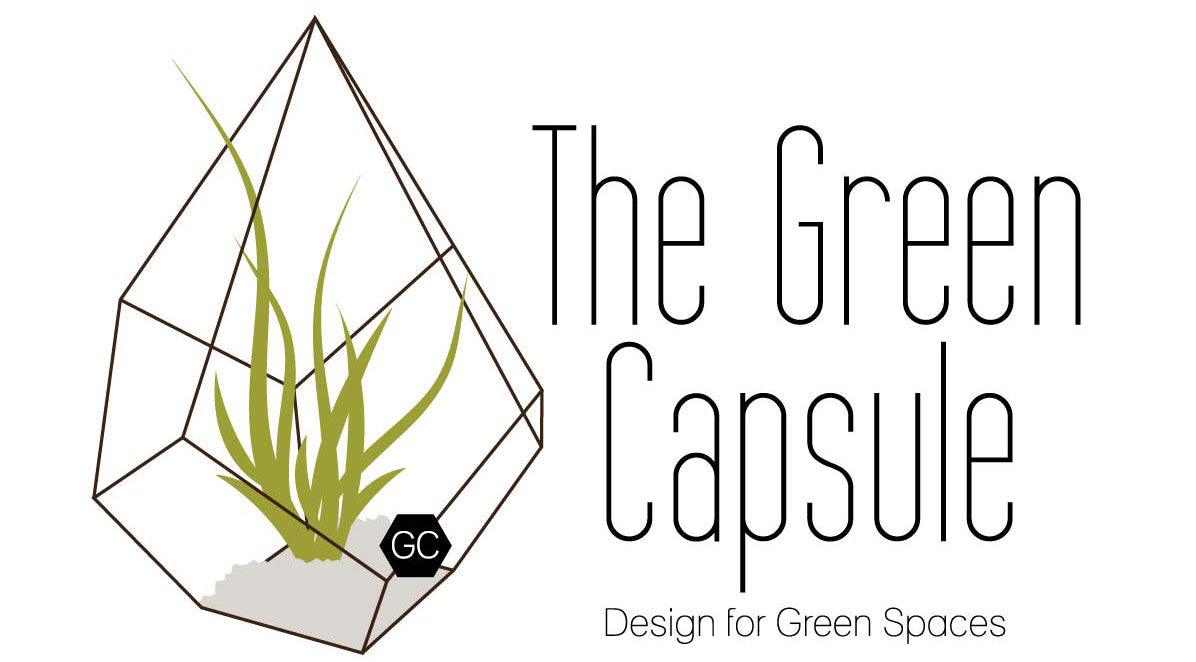 The Green Capsule: Airplant Greenwall DIY Kit @ Just $50 (Delivery Fee Inclusive) - BYKidO