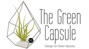 The Green Capsule: Closed Ornamental Terrarium DIY Kit @ Just $45 (Delivery Fee Inclusive) - BYKidO